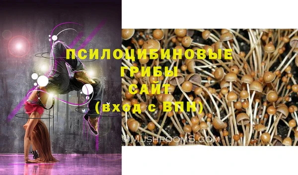каннабис Бородино
