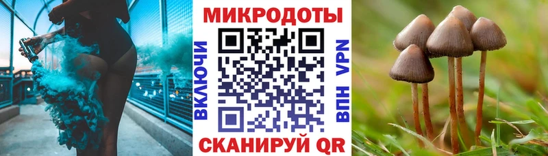 как найти закладки Минеральные Воды Псилоцибиновые грибы мухоморы