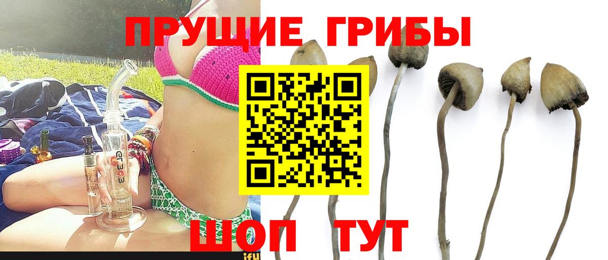 Минеральные Воды  Псилоцибиновые грибы MAGIC MUSHROOMS  Вход с VPN 